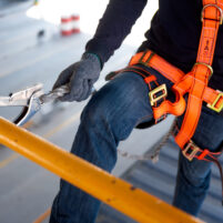 Safety Harness and Fall Arrest