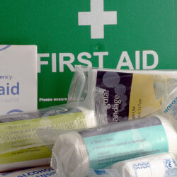 Emergency First Aid Training Course